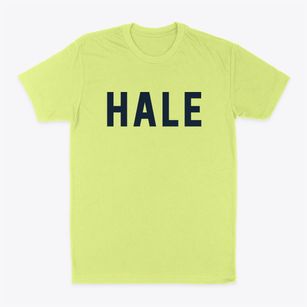 Hale Wisconsin Classic Block Classic Dad T-Shirt