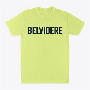 Belvidere Illinois Classic Block Classic Dad T-Shirt
