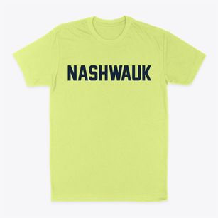 Nashwauk Minnesota Classic Block Classic Dad T-Shirt