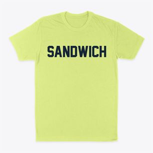 Sandwich Massachusetts Classic Block Classic Dad T-Shirt