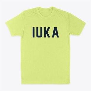 Iuka Illinois Classic Block Classic Dad T-Shirt