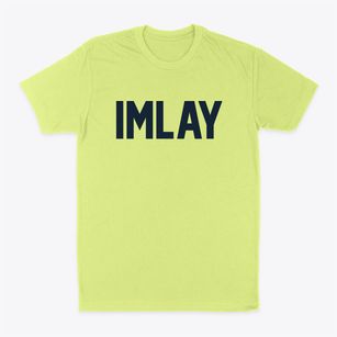 Imlay Nevada Classic Block Classic Dad T-Shirt