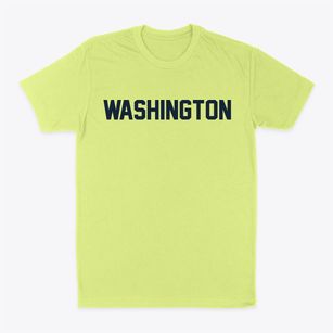 Washington Missouri Classic Block Classic Dad T-Shirt
