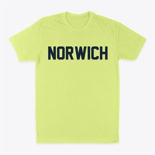 Norwich Ohio Classic Block Classic Dad T-Shirt