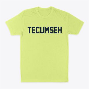 Tecumseh Michigan Classic Block Classic Dad T-Shirt