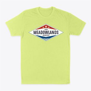 Meadowlands Minnesota Diamond Star Classic Dad T-Shirt