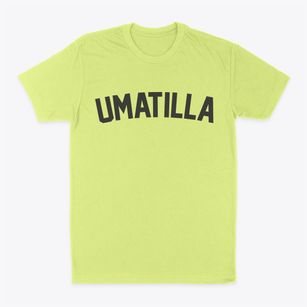 Umatilla Oregon Classic Curve Classic Dad T-Shirt