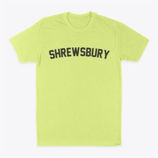 Shrewsbury Missouri Classic Curve Classic Dad T-Shirt