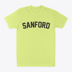 Sanford Florida Classic Curve Classic Dad T-Shirt