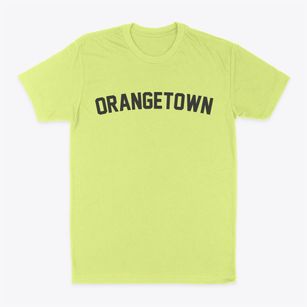 Orangetown New York Classic Curve Classic Dad T-Shirt