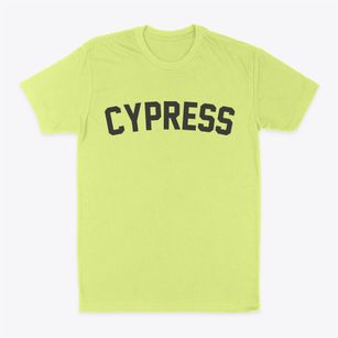 Cypress California Classic Curve Classic Dad T-Shirt