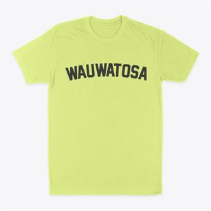 Wauwatosa Wisconsin Classic Curve Classic Dad T-Shirt