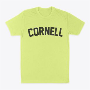 Cornell Wisconsin Classic Curve Classic Dad T-Shirt