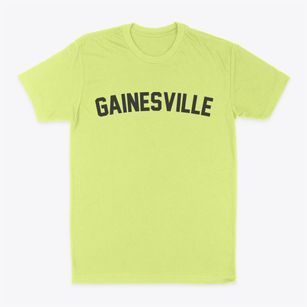 Gainesville Florida Classic Curve Classic Dad T-Shirt