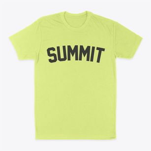 Summit New Jersey Classic Curve Classic Dad T-Shirt