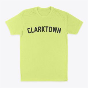 Clarktown Ohio Classic Curve Classic Dad T-Shirt