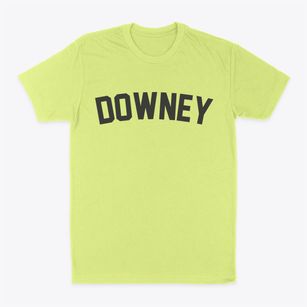 Downey Idaho Classic Curve Classic Dad T-Shirt