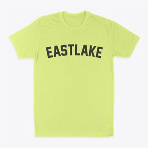 Eastlake Michigan Classic Curve Classic Dad T-Shirt