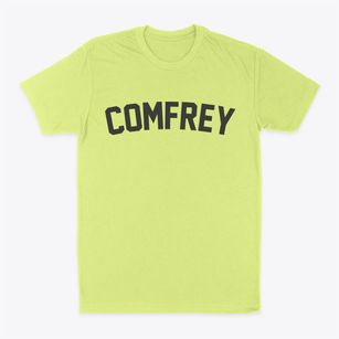 Comfrey Minnesota Classic Curve Classic Dad T-Shirt