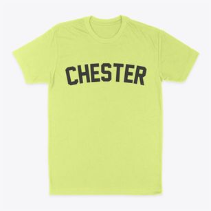 Chester Texas Classic Curve Classic Dad T-Shirt