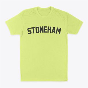 Stoneham Maine Classic Curve Classic Dad T-Shirt