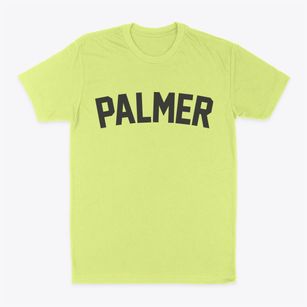 Palmer Illinois Classic Curve Classic Dad T-Shirt