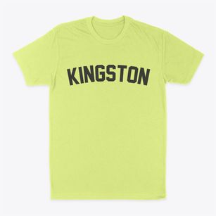 Kingston Minnesota Classic Curve Classic Dad T-Shirt