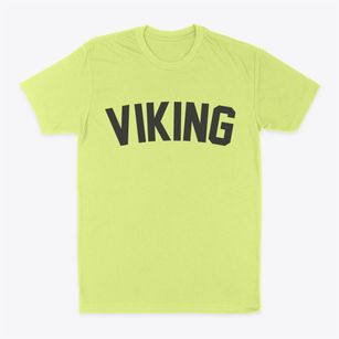 Viking Minnesota Classic Curve Classic Dad T-Shirt
