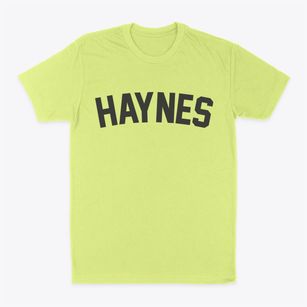 Haynes North Dakota Classic Curve Classic Dad T-Shirt