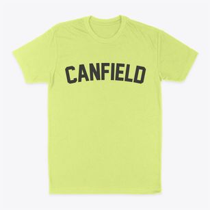 Canfield Ohio Classic Curve Classic Dad T-Shirt
