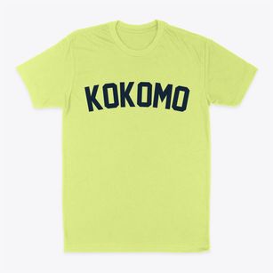 Kokomo Indiana Classic Curve Classic Dad T-Shirt
