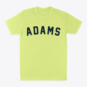 Adams New York Classic Curve Classic Dad T-Shirt