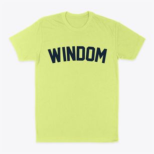 Windom Minnesota Classic Curve Classic Dad T-Shirt