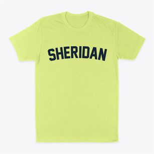 Sheridan Illinois Classic Curve Classic Dad T-Shirt