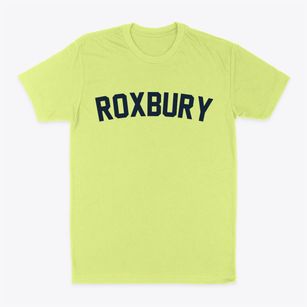 Roxbury Connecticut Classic Curve Classic Dad T-Shirt