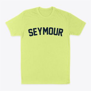 Seymour Missouri Classic Curve Classic Dad T-Shirt