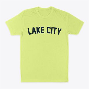 Lake City Tennessee Classic Curve Classic Dad T-Shirt