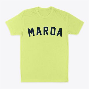 Maroa Illinois Classic Curve Classic Dad T-Shirt