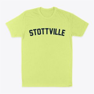 Stottville New York Classic Curve Classic Dad T-Shirt