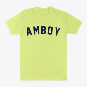 Amboy New York Classic Curve Classic Dad T-Shirt