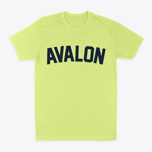 Avalon New Jersey Classic Curve Classic Dad T-Shirt