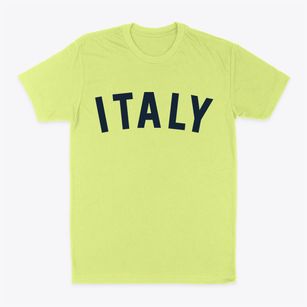 Italy New York Classic Curve Classic Dad T-Shirt