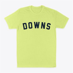 Downs Illinois Classic Curve Classic Dad T-Shirt