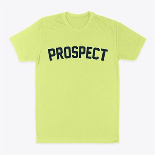 Prospect Maine Classic Curve Classic Dad T-Shirt