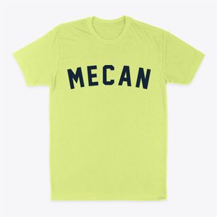 Mecan Wisconsin Classic Curve Classic Dad T-Shirt