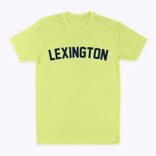 Lexington South Carolina Classic Curve Classic Dad T-Shirt