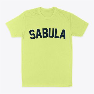 Sabula Iowa Classic Curve Classic Dad T-Shirt