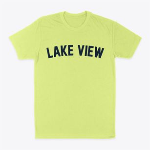 Lake View Arkansas Classic Curve Classic Dad T-Shirt