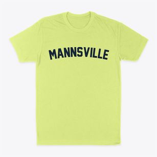 Mannsville New York Classic Curve Classic Dad T-Shirt