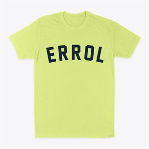Errol New Hampshire Classic Curve Classic Dad T-Shirt